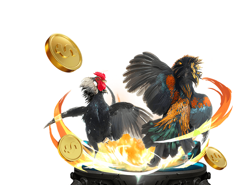 Cá cược Đá Gà tai sunwin