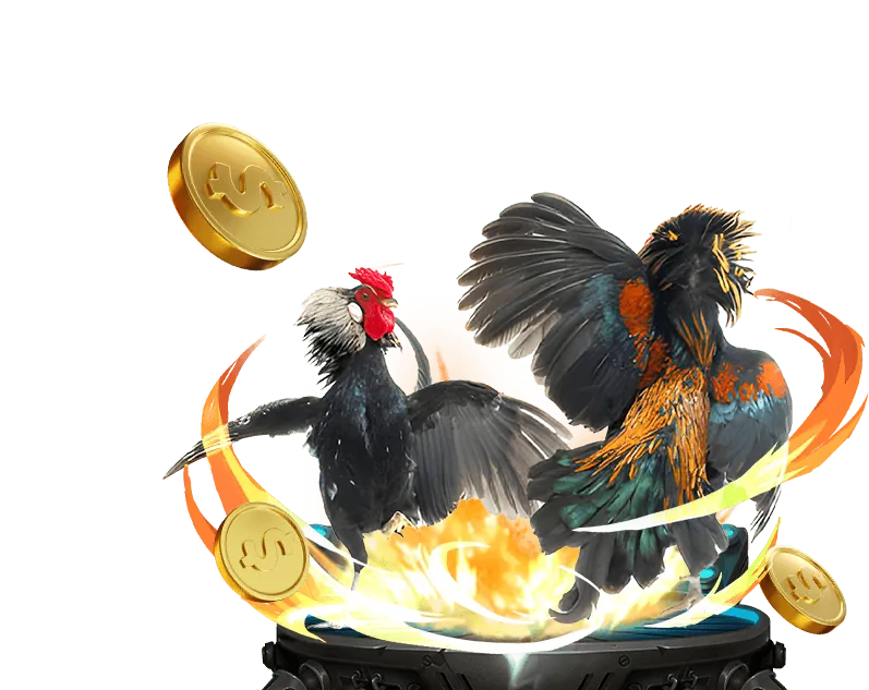 Cá cược Đá Gà tai sunwin